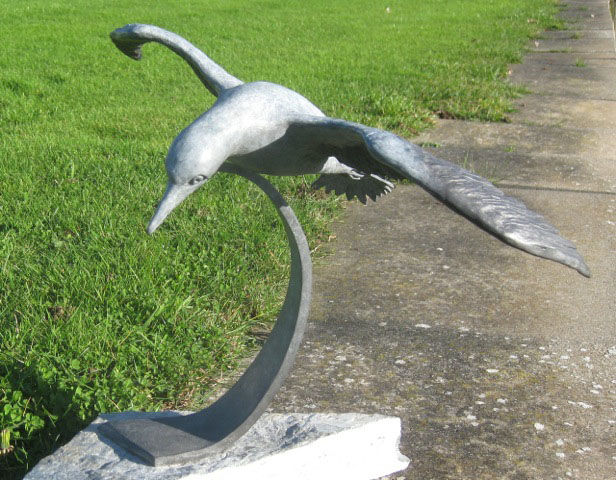 Soaring Gannet front