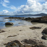 27. Sunny Cove, Sheep's Head