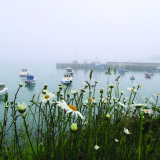 Misty moisty morning, Ahakista