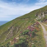 173. The Long & winding Road, Dursey Island