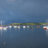 166. Storm coming, Bantry Bay