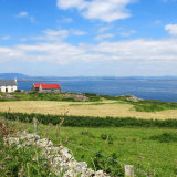 38. Diontá Dearg, Oiléan Chléire; Red Roofs; Cape Clear