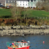 31. Fishing Boat, Schull