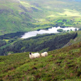 40. Gougane Barra