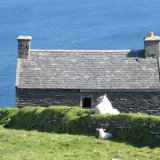 155 Finding the Shade, Dursey Island, West Cork