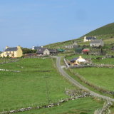 158 Homesteads, Dursey Island