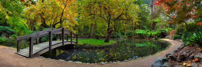 A Walk in the Garden