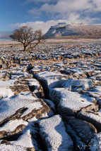 Ingleborough from the limestone pavement