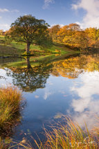 Loughrig Tarn Autumn