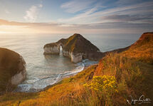The Drinking Dinosaur, Flamborough Head