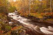 Glen Affric Stream