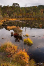 Lochan Reflection