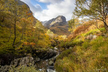 Autumn colours in Glencoe