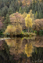 Glencoe Lochan Tranquility.