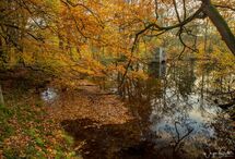 Autumn Reflections