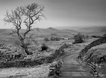 Winskill Stones View