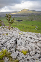 Ingleborough view