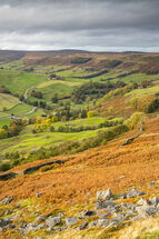 Autumn in Nidderdale 2