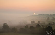Misty Sunrise Harewood