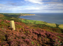 Robin Hoods Bay from Ravenscar