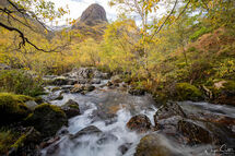 Autumn Stream Glencoe