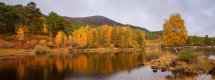 Glen Affric Reflection