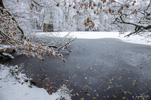 Frozen Washburn Pond