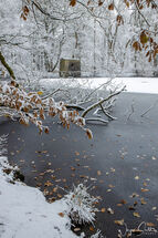Frozen Washburn Pond 2