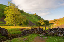 Trollers Gill Wharfedale