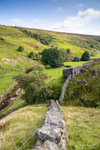 Swaledale wall And Barn