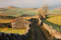 The Old Farm Track Stainforth