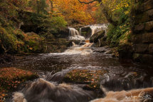 Thomason Foss Upper Falls