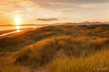 The Sand Dunes of Harlech