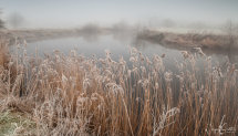Frost And Mist on the river Wharfe