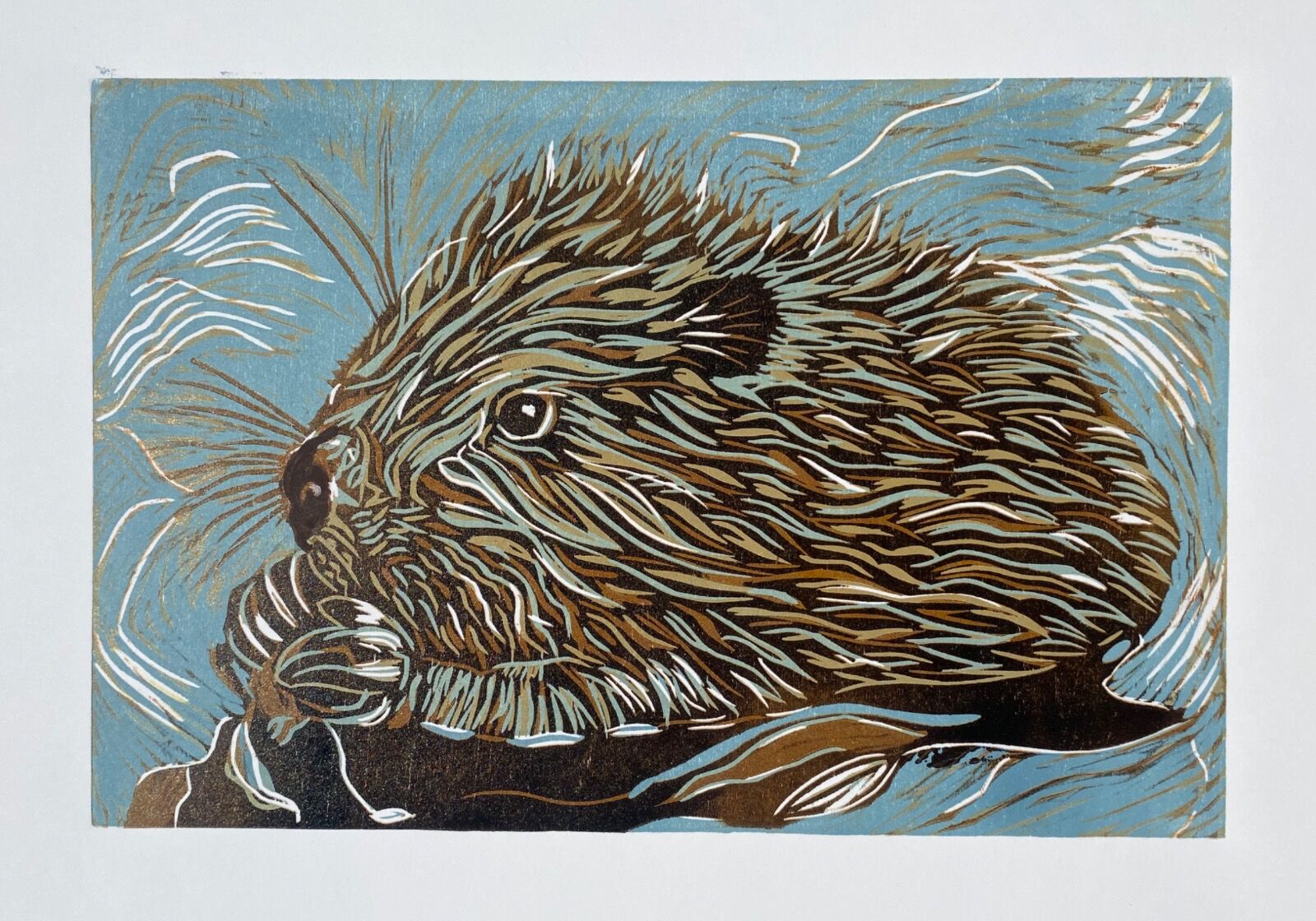 Water Beaver