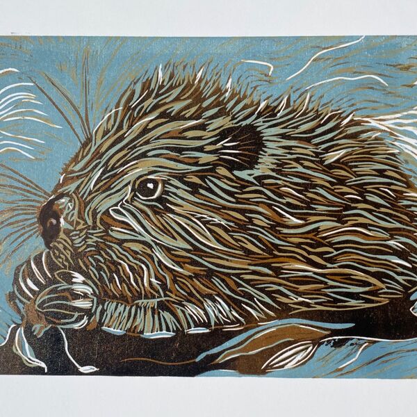 Water Beaver