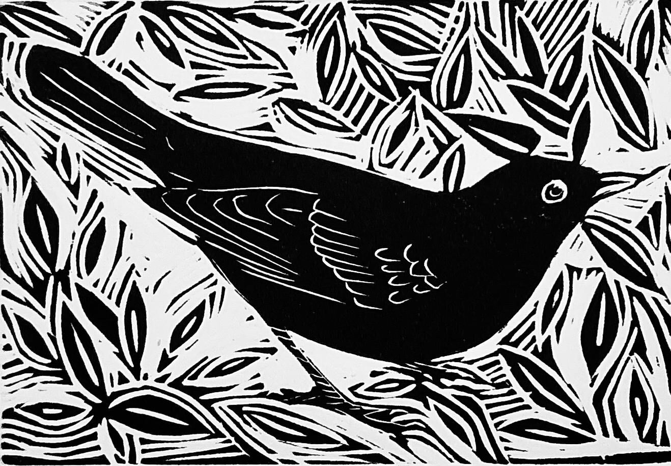 Blackbird