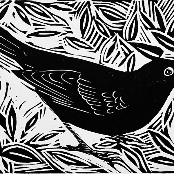 Blackbird