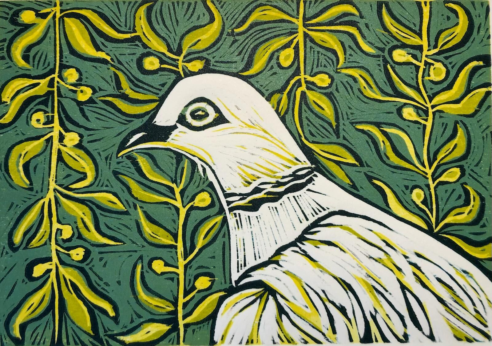 Dove With Olives