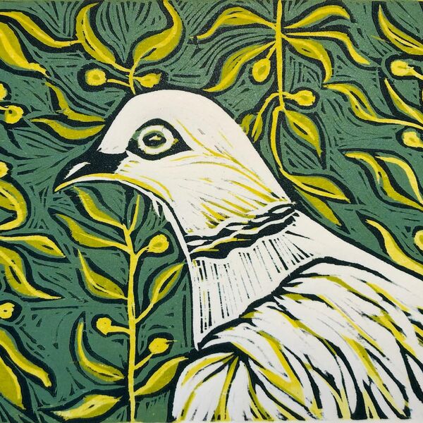 Dove With Olives