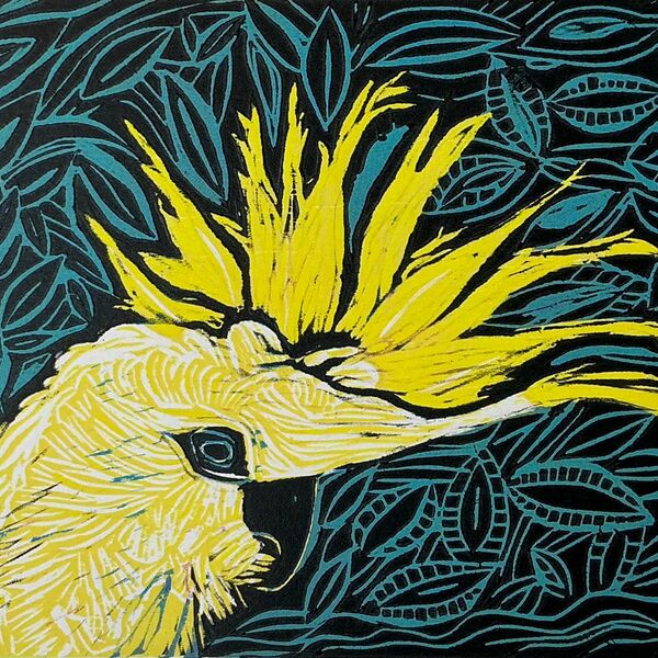 Cockatoo Blue