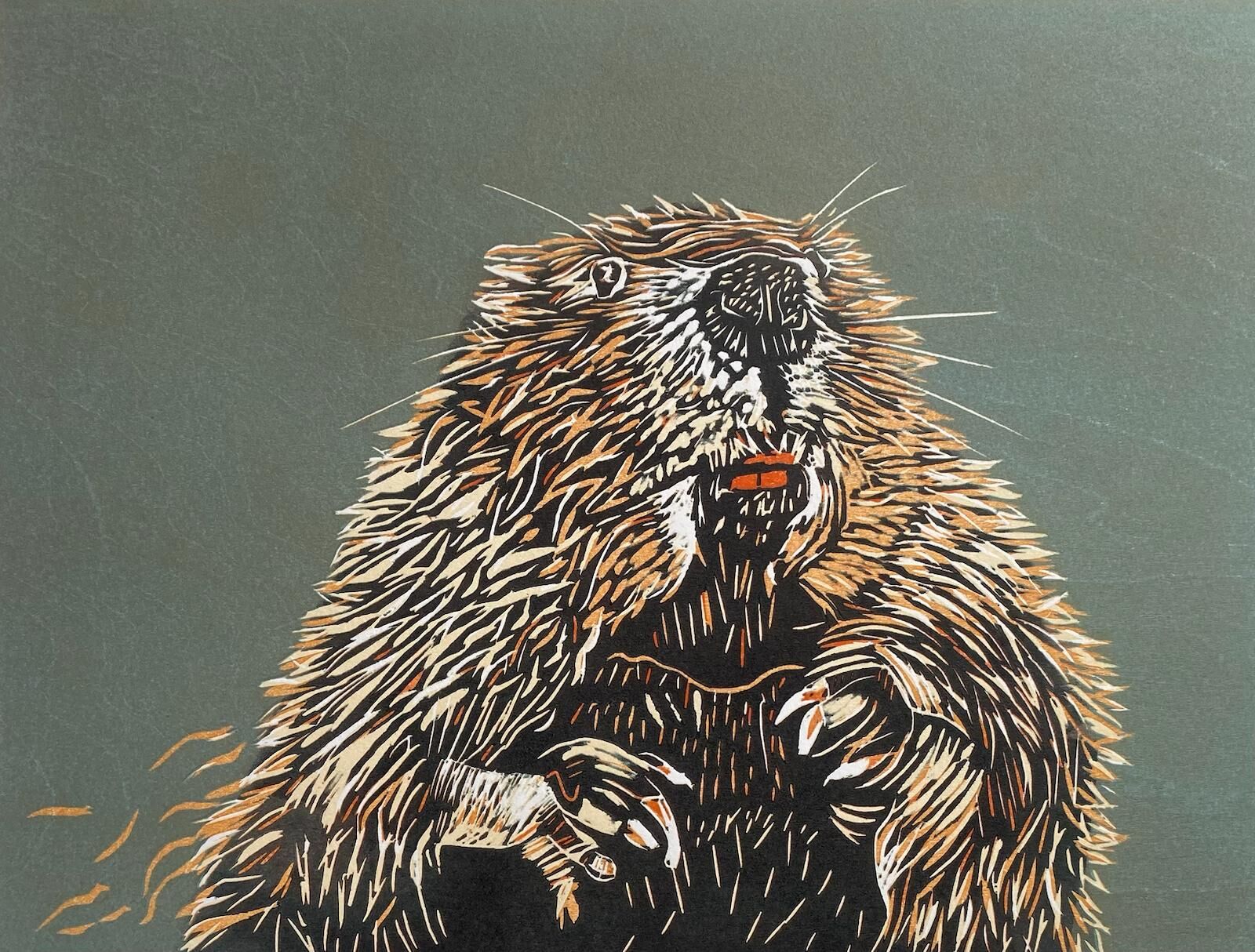 Beaver