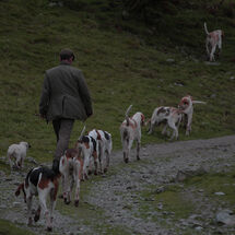 Lake District Huntsman (H/C)
