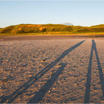 Mick Parmenter - Walking the dog - HC