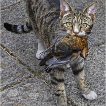 3 Yvonne West Caught after the act!