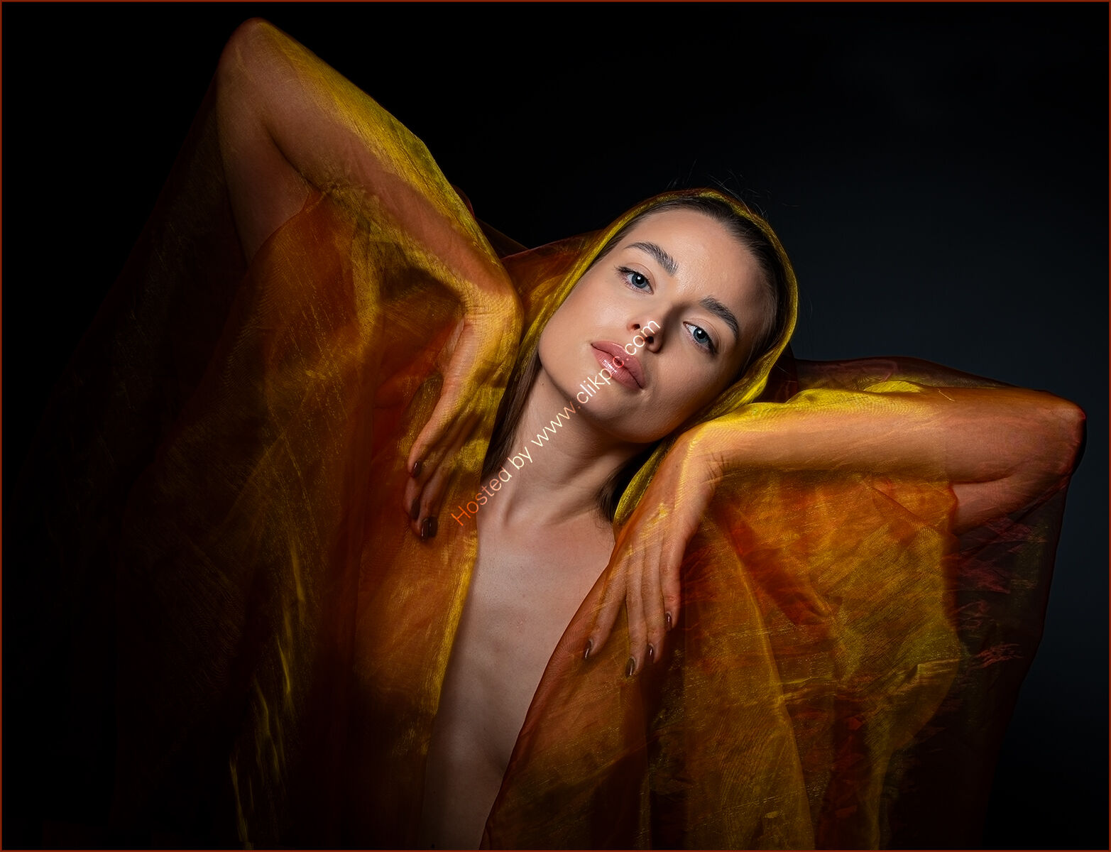 Organza - H/C -