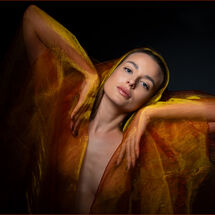 Organza - H/C -