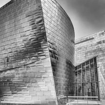 Colin - Guggenheim Museum