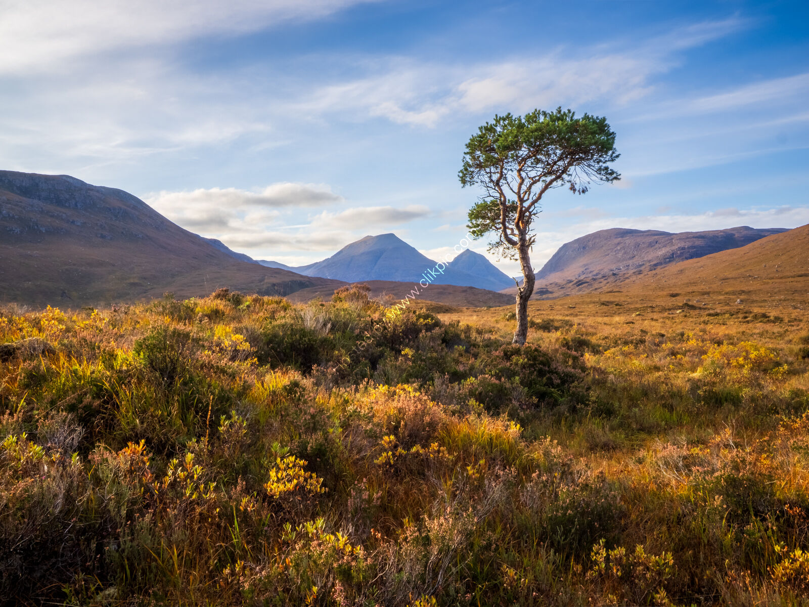 Beinn a' Chearcaill Lone Tree