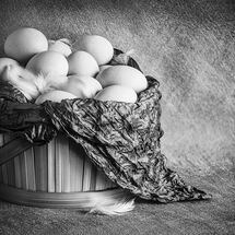 Eggs in Basket
